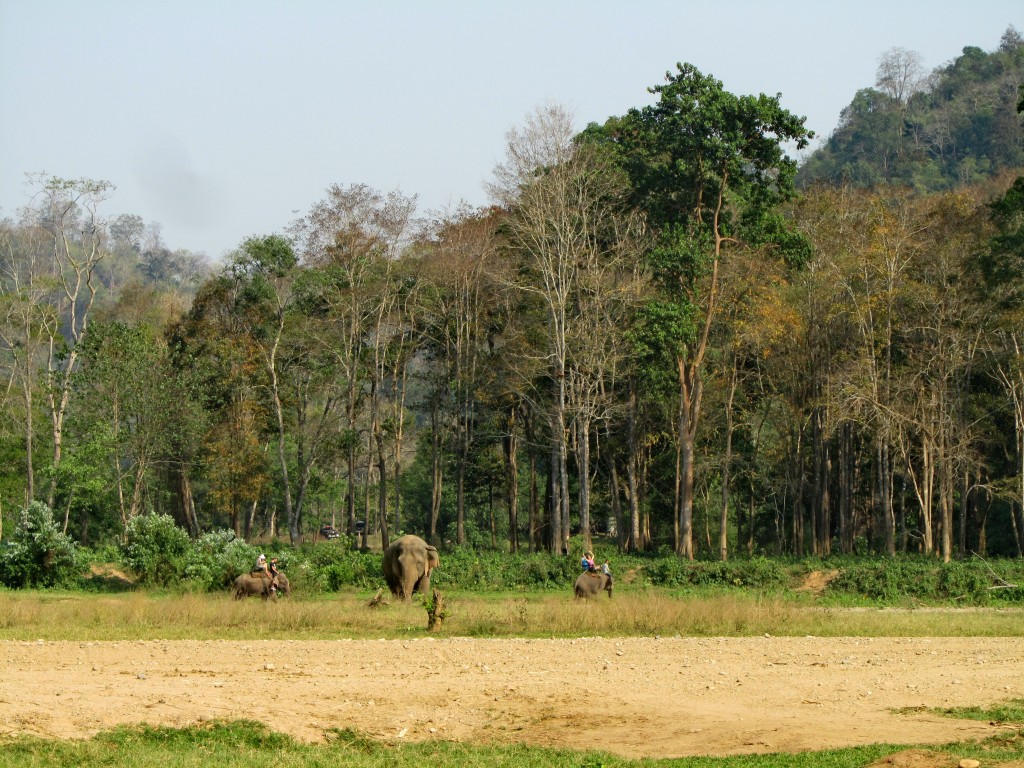 Elephant Nature Park land